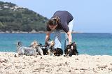 ADULTE ET CHIEN 548